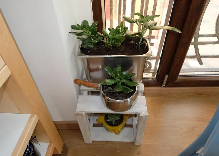 Pensionat Balcon Al Mar