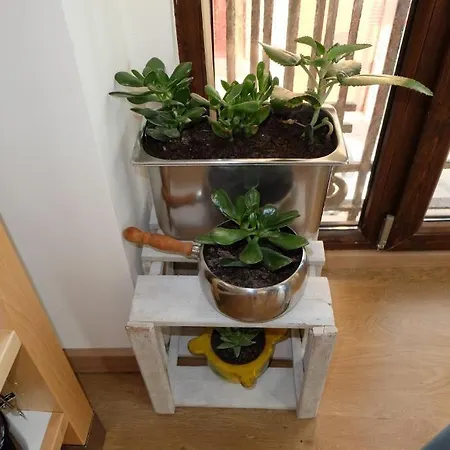 Konukevi Balcon Al Mar