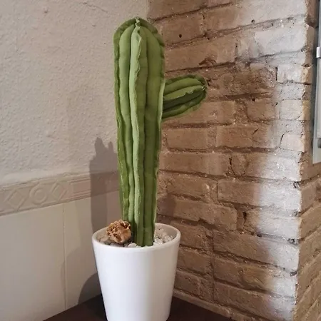 Balcon Al Mar Valensiya